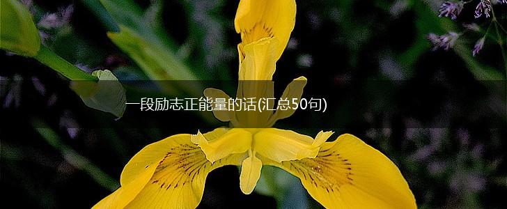 一段励志正能量的话(汇总50句),第1张