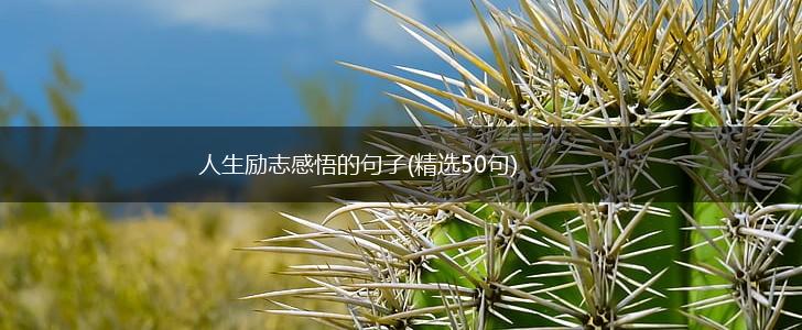 人生励志感悟的句子(精选50句),第1张