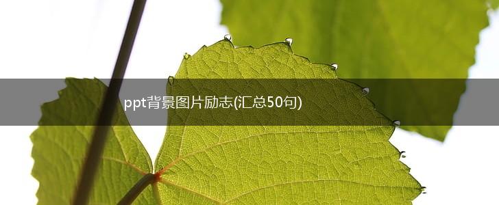 ppt背景图片励志(汇总50句),第1张