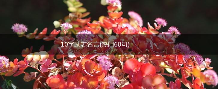 10字励志名言(热门60句),第1张