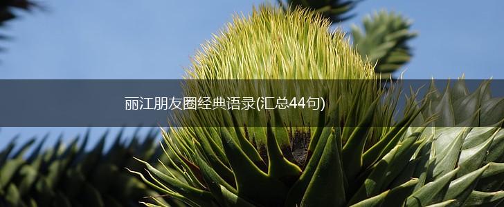 丽江朋友圈经典语录(汇总44句),第1张