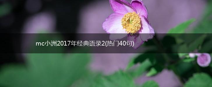 mc小洲2017年经典语录2(热门40句),第1张