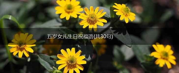 五岁女儿生日祝福语(共30句),第1张