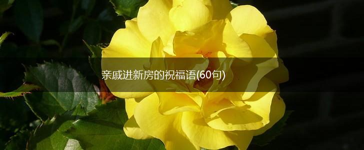 亲戚进新房的祝福语(60句),第1张