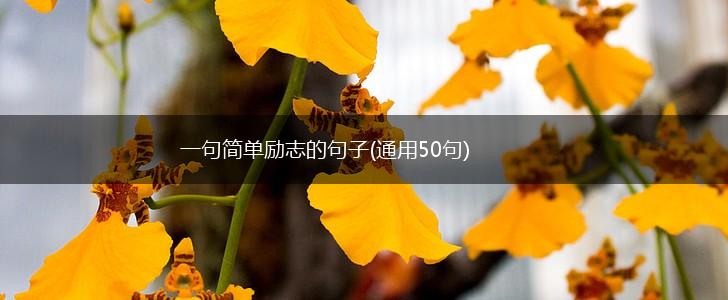 一句简单励志的句子(通用50句),第1张