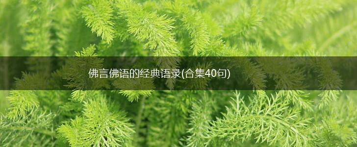 佛言佛语的经典语录(合集40句),第1张