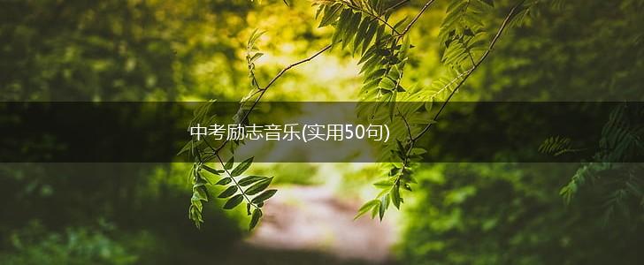 中考励志音乐(实用50句),第1张
