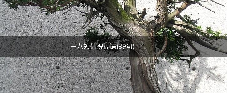 三八短信祝福语(39句),第1张