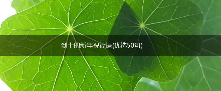 一到十的新年祝福语(优选50句),第1张