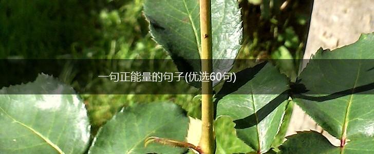 一句正能量的句子(优选60句),第1张