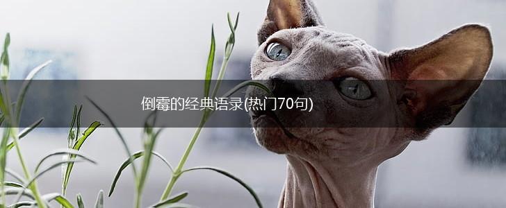 倒霉的经典语录(热门70句),第1张