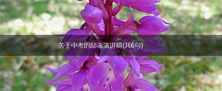 关于中考的励志演讲稿(共6句),第1张