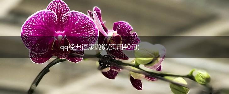 qq经典语录说说(实用40句),第1张