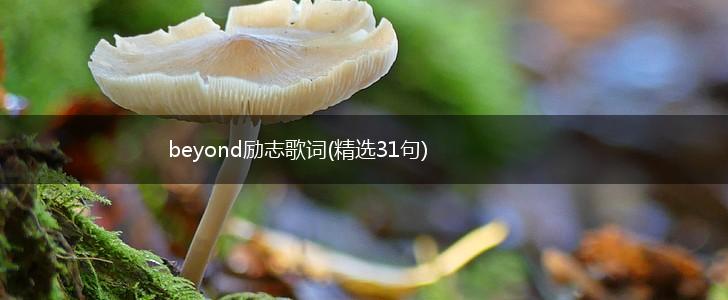 beyond励志歌词(精选31句),第1张