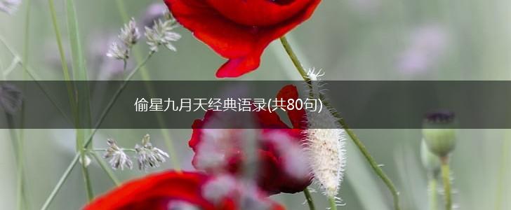 偷星九月天经典语录(共80句),第1张