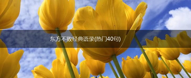 东方不败经典语录(热门40句),第1张