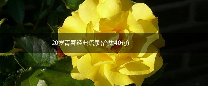 20岁青春经典语录(合集40句),第1张