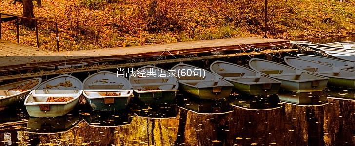 肖战经典语录(60句),第1张