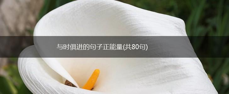 与时俱进的句子正能量(共80句),第1张
