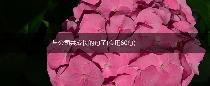 与公司共成长的句子(实用60句),第1张
