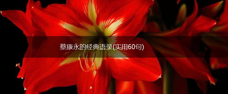 蔡康永的经典语录(实用60句),第1张