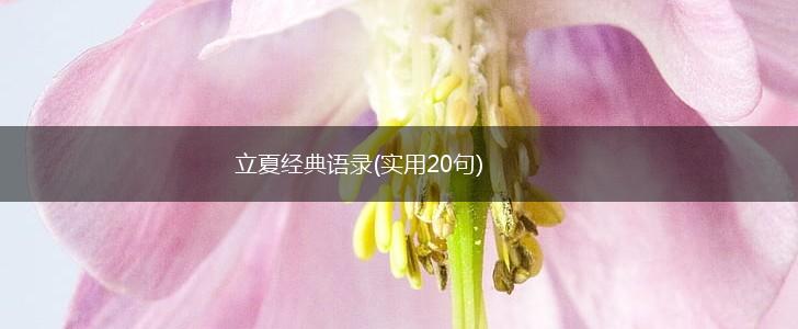 立夏经典语录(实用20句),第1张
