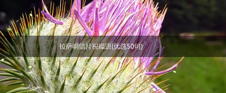 拉萨明信片祝福语(优选50句),第1张