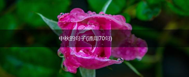 中秋的句子(通用70句),第1张