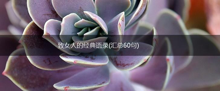 致女人的经典语录(汇总60句),第1张