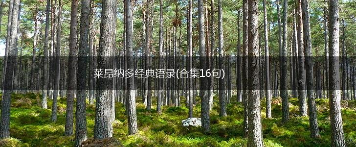 莱昂纳多经典语录(合集16句),第1张