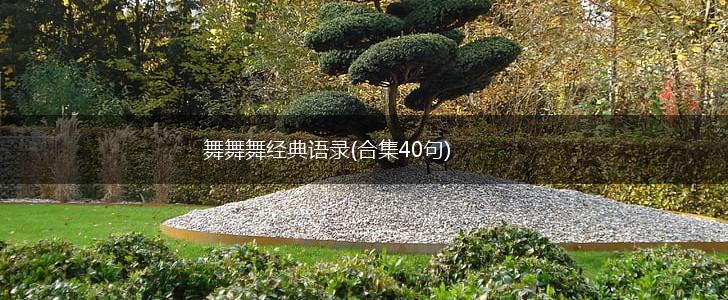 舞舞舞经典语录(合集40句),第1张