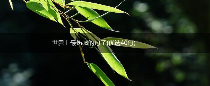 世界上最伤感的句子(优选40句),第1张