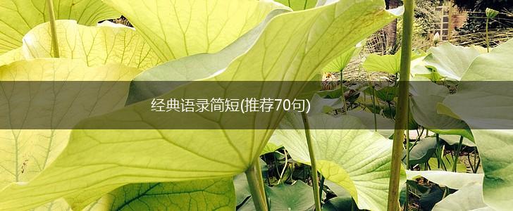 经典语录简短(推荐70句),第1张 经典语录简短(推荐70句),第1张