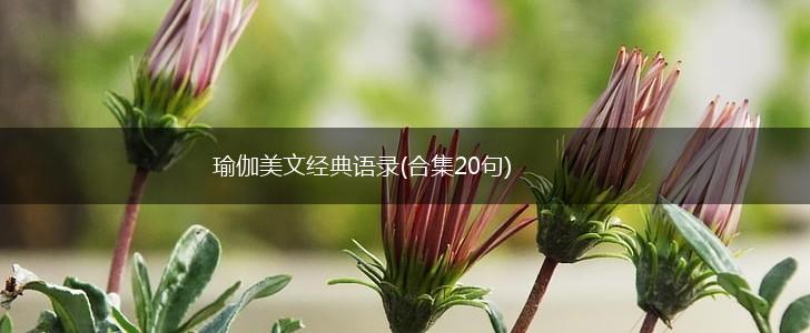 瑜伽美文经典语录(合集20句),第1张