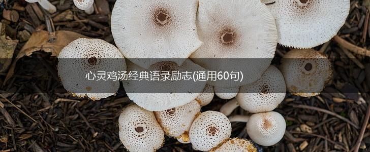 心灵鸡汤经典语录励志(通用60句),第1张
