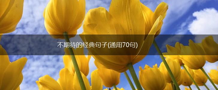 不期待的经典句子(通用70句),第1张