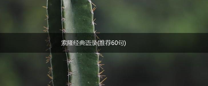 索隆经典语录(推荐60句),第1张