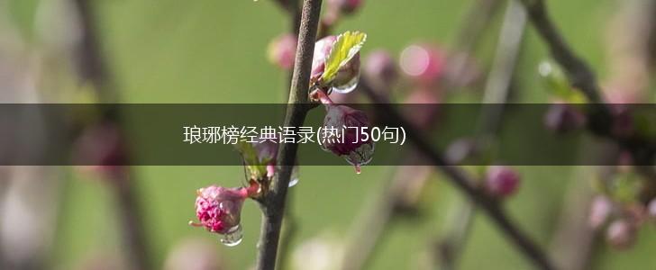 琅琊榜经典语录(热门50句),第1张