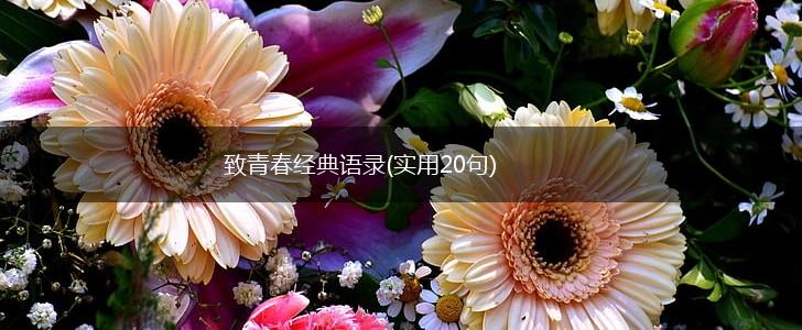 致青春经典语录(实用20句),第1张