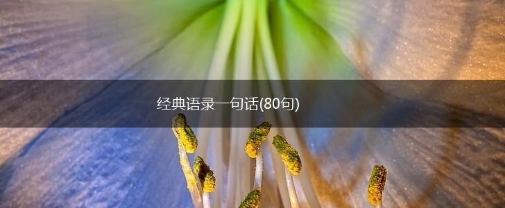经典语录一句话(80句),第1张