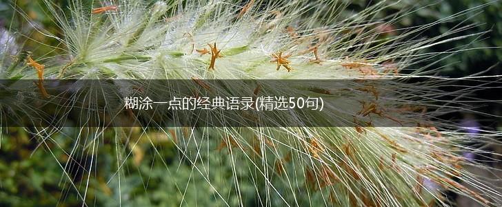 糊涂一点的经典语录(精选50句),第1张 糊涂一点的经典语录(精选50句),第1张