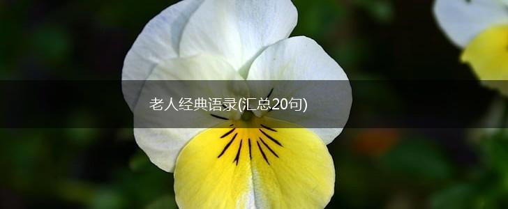 老人经典语录(汇总20句),第1张