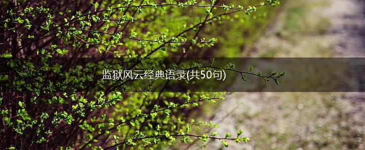 监狱风云经典语录(共50句),第1张