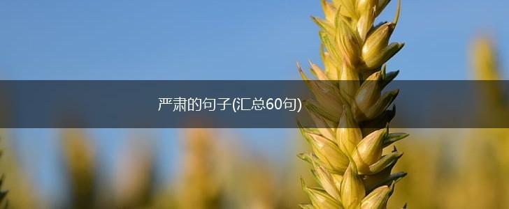 严肃的句子(汇总60句),第1张