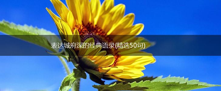 表达城府深的经典语录(精选50句),第1张