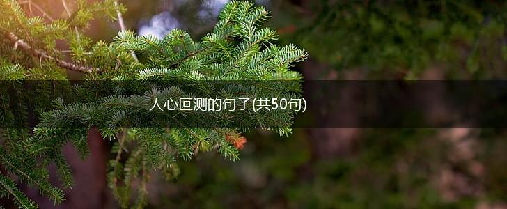 人心叵测的句子(共50句),第1张