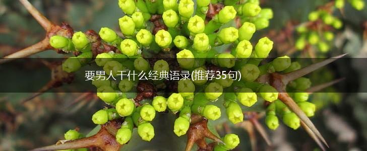要男人干什么经典语录(推荐35句),第1张