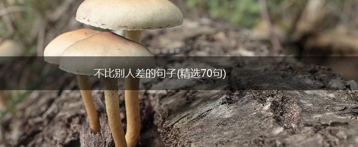 不比别人差的句子(精选70句),第1张