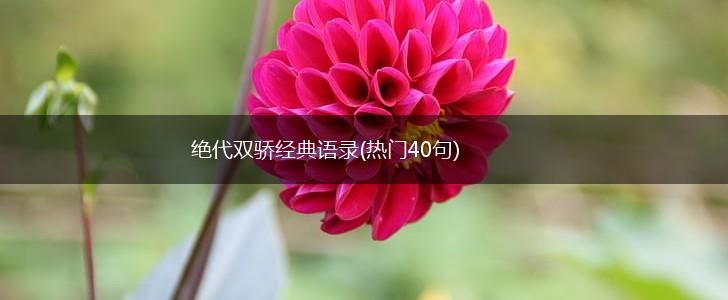 绝代双骄经典语录(热门40句),第1张