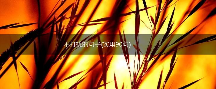 不打扰的句子(实用90句),第1张